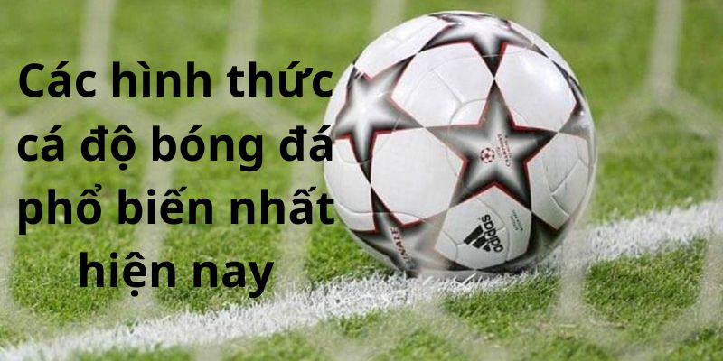 Một số hình thức cá độ bóng đá đang phổ biến nhất hiện nay