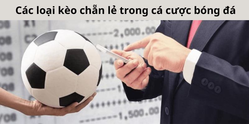 Các loại kèo chẵn lẻ phổ biến nhất trong cá cược bóng đá