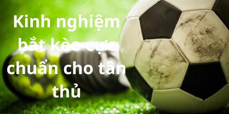 Kinh nghiệm bắt kèo cực chuẩn cho tân thủ