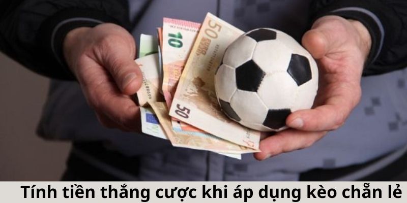 Tính tiền thắng cược khi áp dụng kèo chẵn lẻ