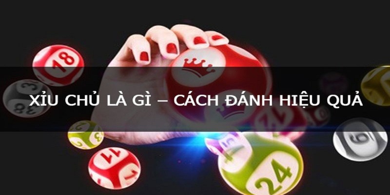 Khái quát chung về cách bắt xỉu chủ